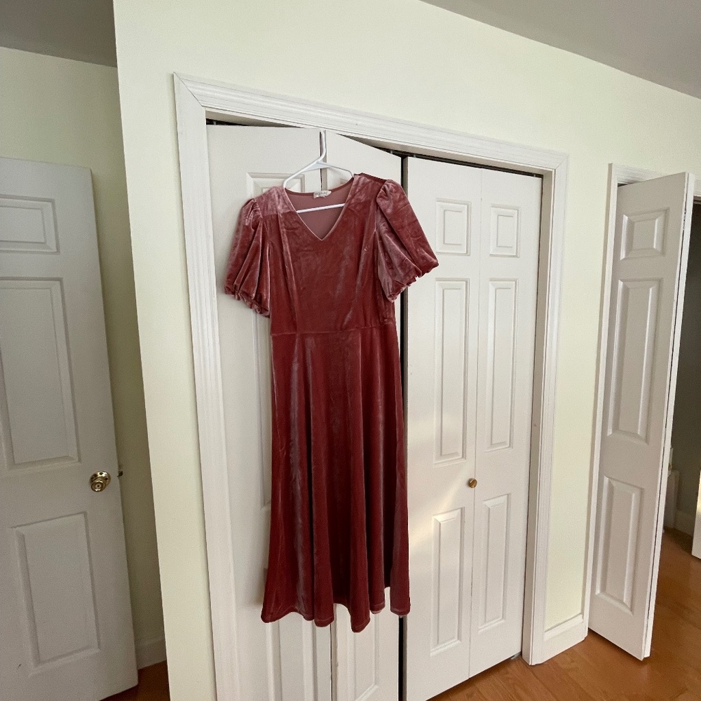 Roolee Rusty Pink  Dress